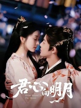 鲁大师在线日韩版下载