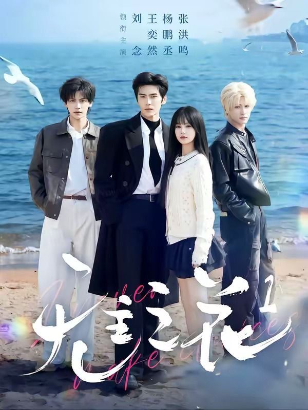 鲁大师高清资源免费下载