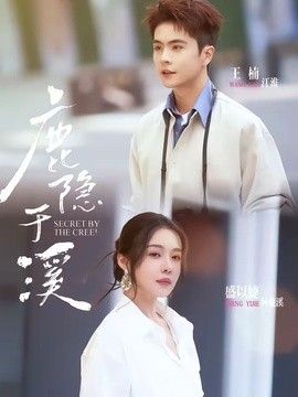 鲁大师在线手机观看播放程力